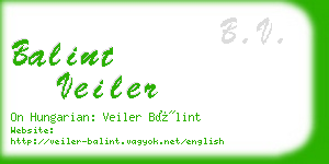 balint veiler business card
